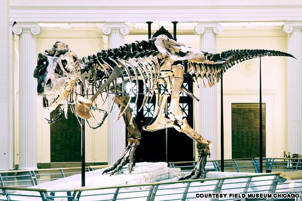 10 viện bảo t&agrave;ng khủng long r&ugrave;ng rợn nhất